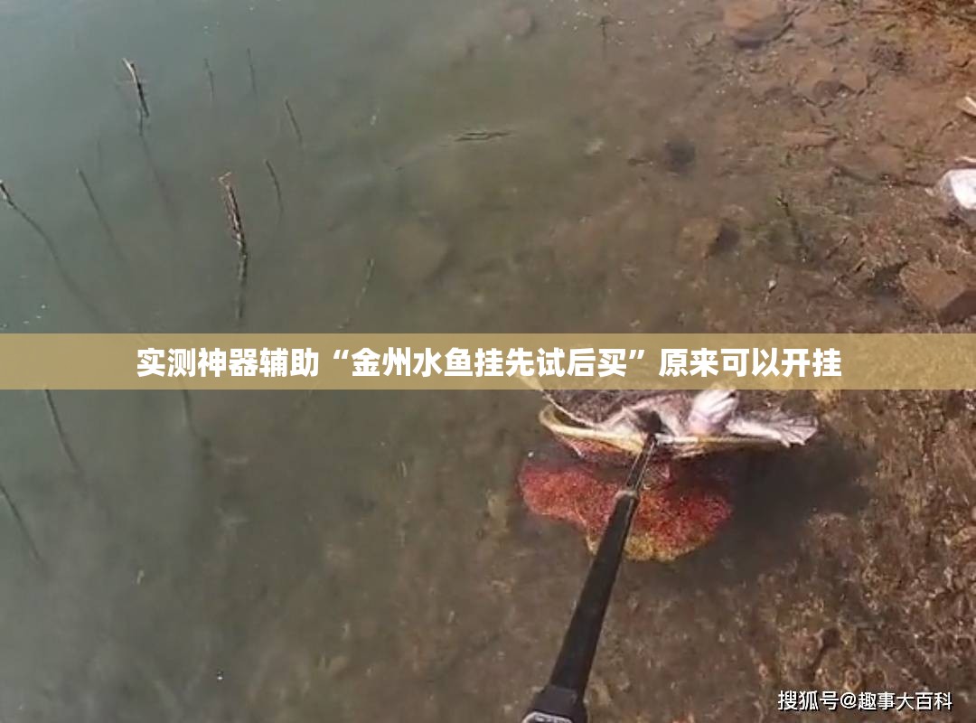 实测神器辅助“金州水鱼挂先试后买	”原来可以开挂