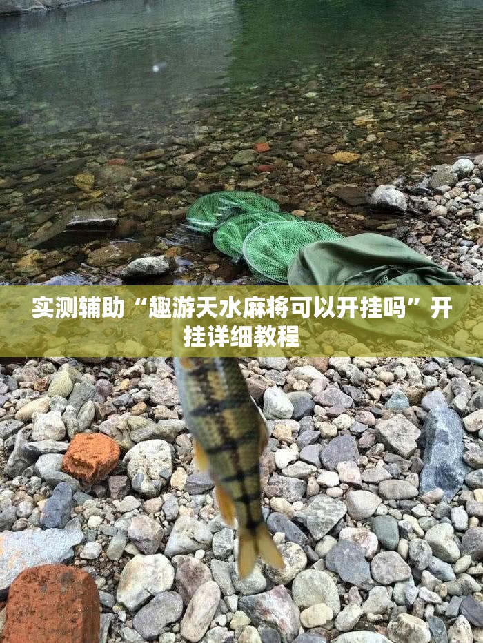 实测辅助“趣游天水麻将可以开挂吗”开挂详细教程