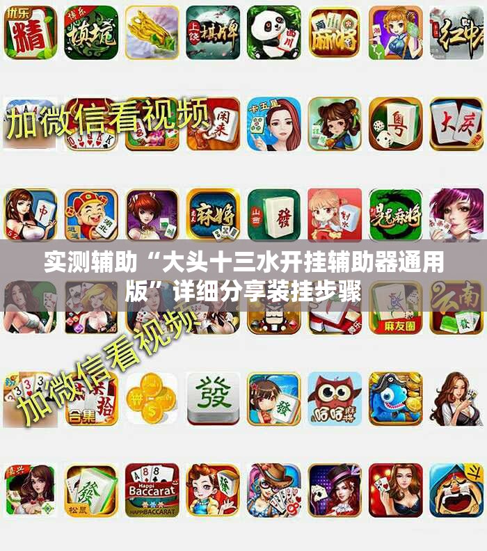 实测辅助“大头十三水开挂辅助器通用版”详细分享装挂步骤