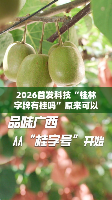 2026首发科技“桂林字牌有挂吗”原来可以开挂