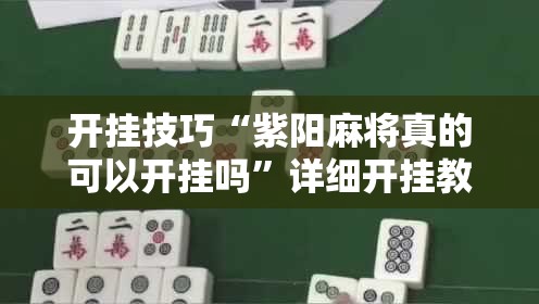 开挂技巧“紫阳麻将真的可以开挂吗”详细开挂教程
