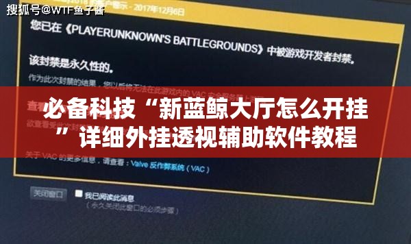 必备科技“新蓝鲸大厅怎么开挂”详细外挂透视辅助软件教程