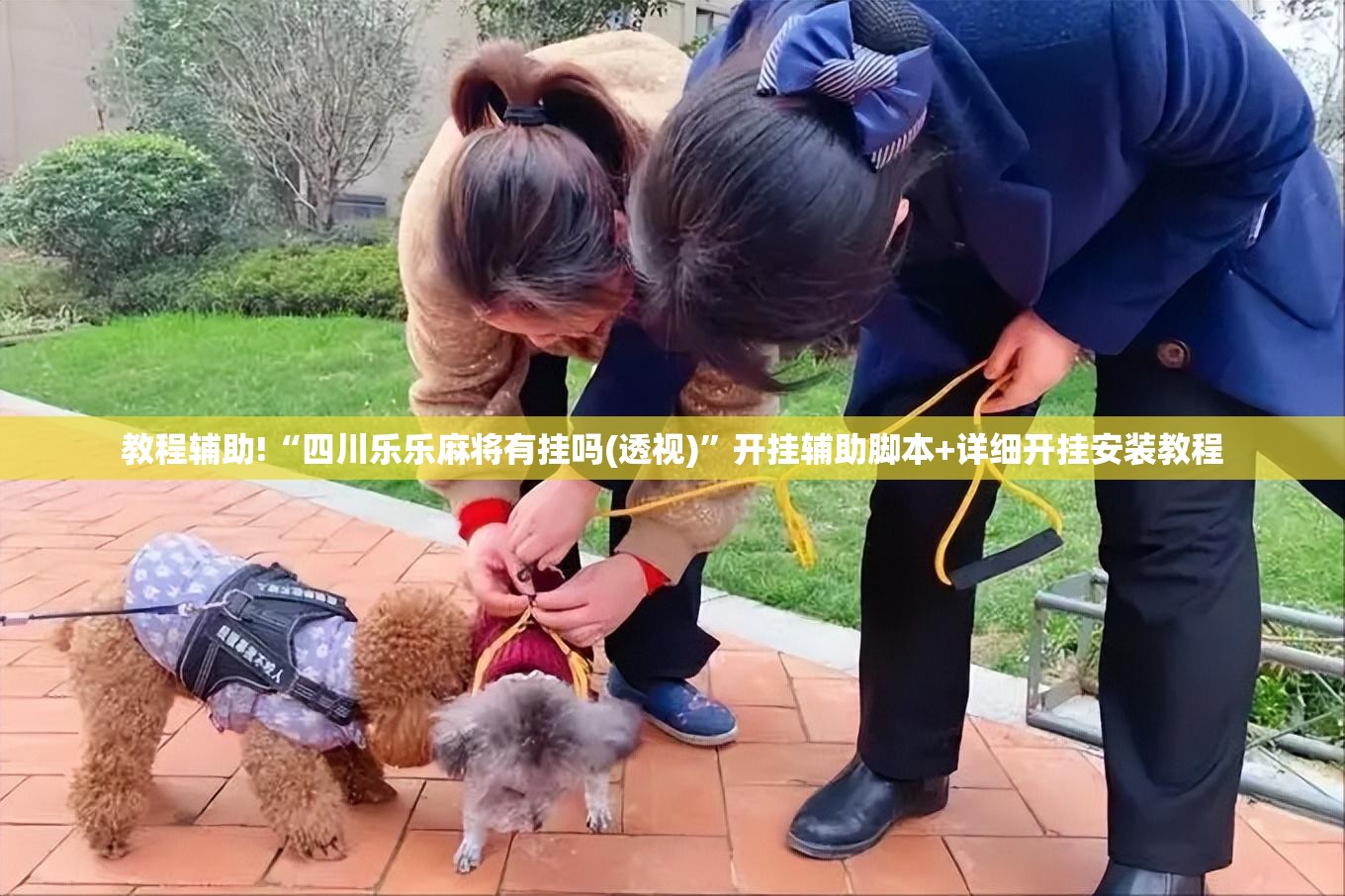 教程辅助!“四川乐乐麻将有挂吗(透视)	”开挂辅助脚本+详细开挂安装教程