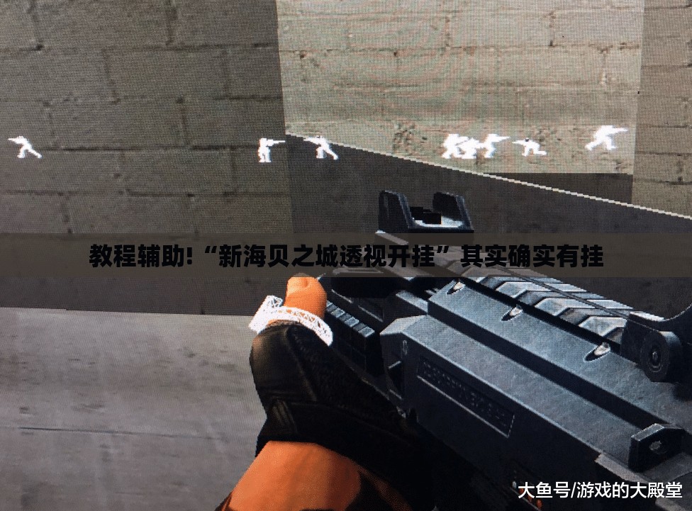 教程辅助!“新海贝之城透视开挂”其实确实有挂