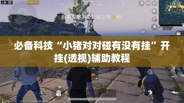 必备科技“小猪对对碰有没有挂”开挂(透视)辅助教程