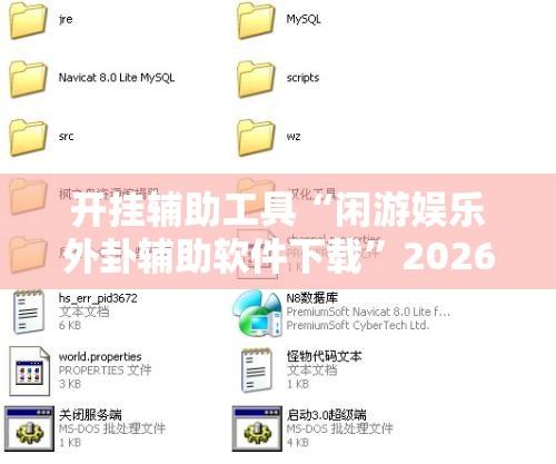 开挂辅助工具“闲游娱乐外卦辅助软件下载”2026开挂教程步骤